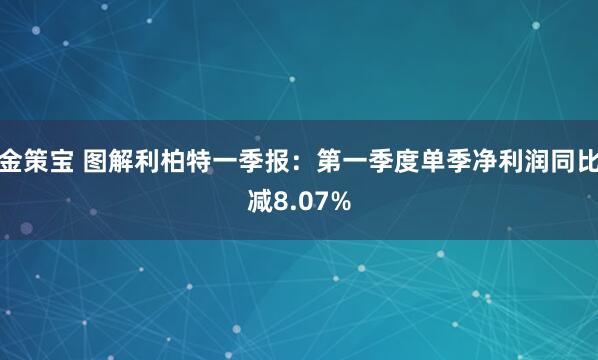 金策宝 图解利柏特一季报：第一季度单季净利润同比减8.07%