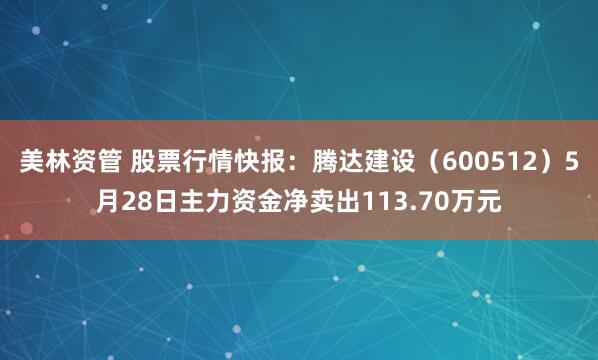 美林资管 股票行情快报：腾达建设（600512）5月28日主力资金净卖出113.70万元