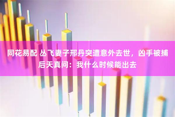 同花易配 丛飞妻子邢丹突遭意外去世，凶手被捕后天真问：我什么时候能出去