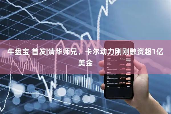 牛盘宝 首发|清华师兄，卡尔动力刚刚融资超1亿美金